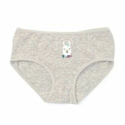 Best reviews of ✔️ Adventure Wear By Copper Key Little 👧 Girls 2T-5 Llama Print Brief Panties Grey Heather ✨