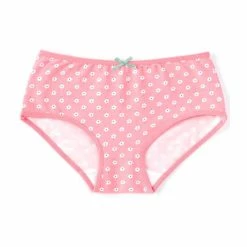 Best deal 👏 Adventure Wear By Copper Key Little 👧 Girls 2T-5 Flower Fields Brief Panties 😍