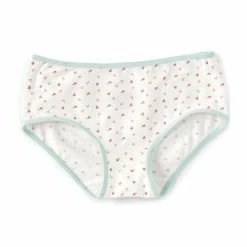 Hot Sale 😉 Adventure Wear By Copper Key Little 👧 Girls 2T-5 Green Apples Brief Panties ❤️