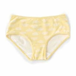 Cheap 😉 Adventure Wear By Copper Key Little 👧 Girls 2T-5 Cloud Brief Panties Yellow 👍
